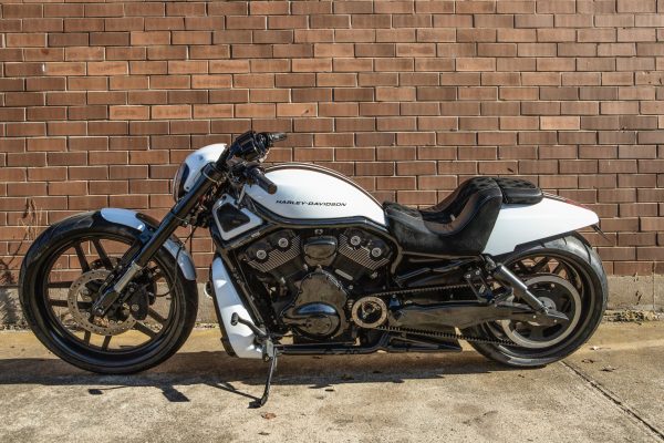 Harley Custom 2